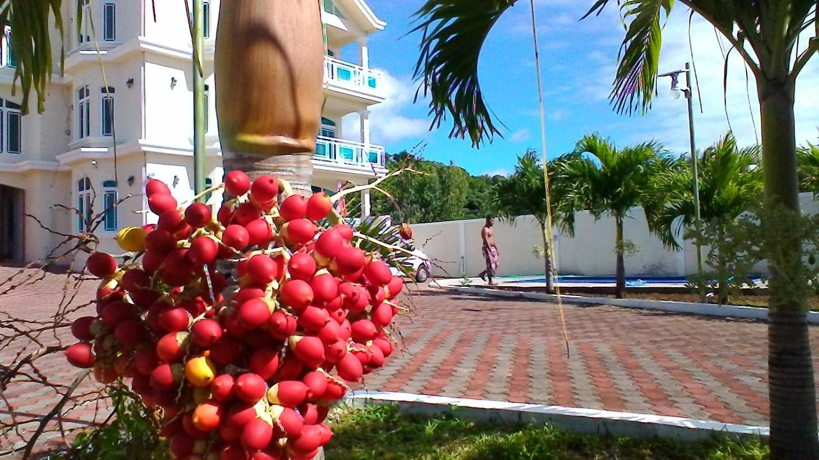 Luxor Residence Guesthouse Belle Mare Zewnętrze zdjęcie