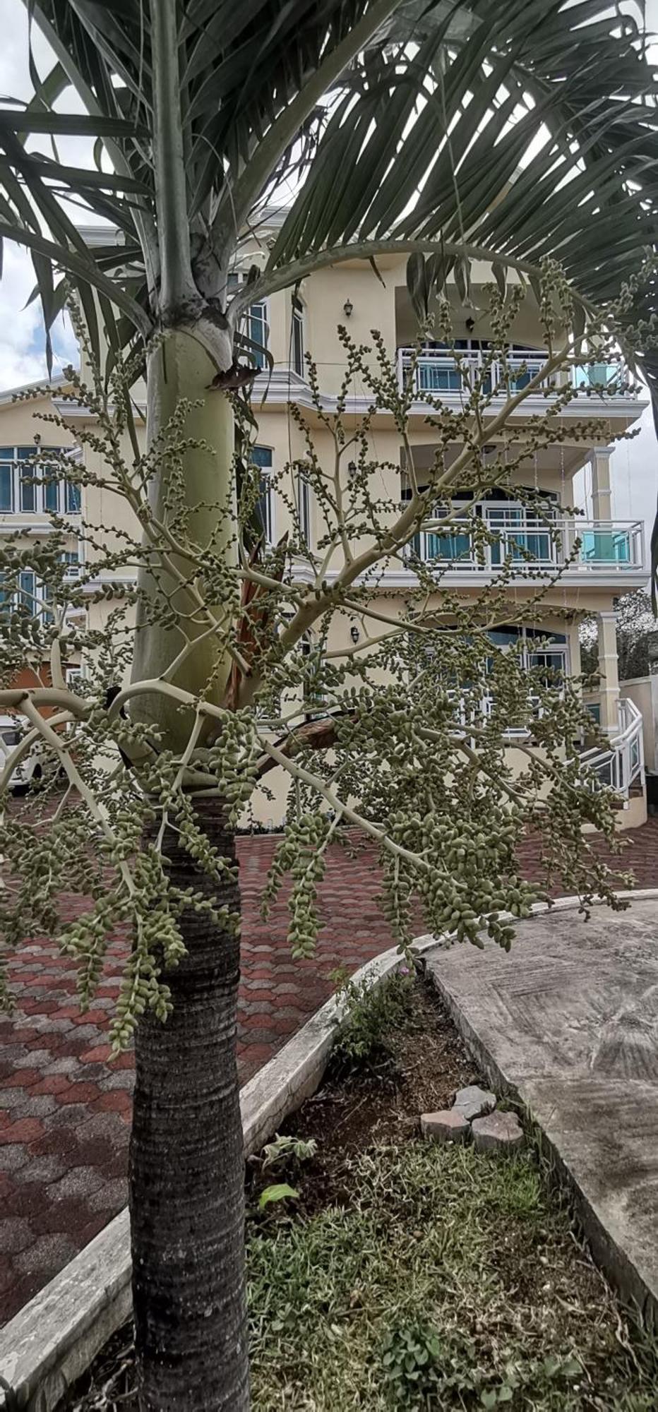 Luxor Residence Guesthouse Belle Mare Zewnętrze zdjęcie